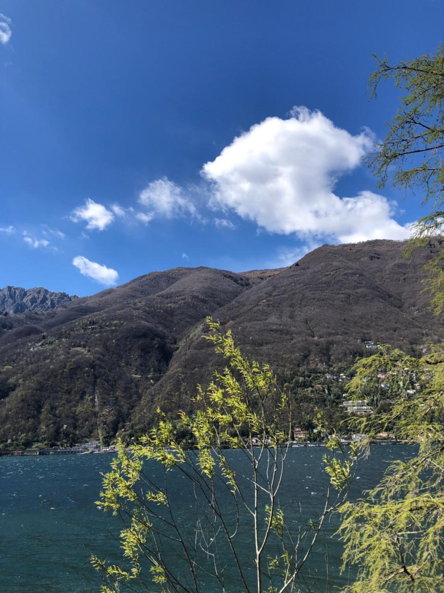 Al Grottino Bed & Breakfast Gambarogno Exterior foto