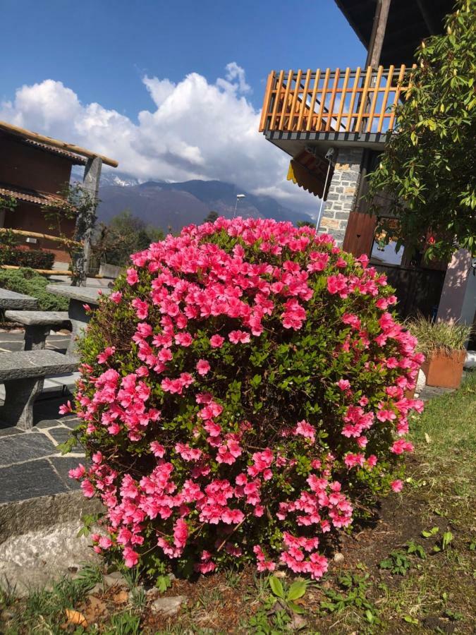 Al Grottino Bed & Breakfast Gambarogno Exterior foto