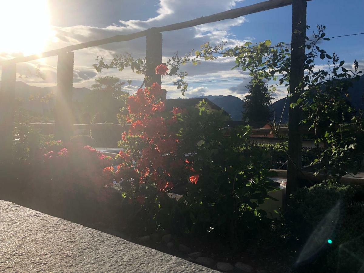 Al Grottino Bed & Breakfast Gambarogno Exterior foto
